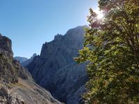 Wanderreise Nord-Spanien – Jakobsweg und Atlantik 9 Tage Wanderreise in Nordspanien mit San Sebastian – Picos de Europa – Jakobsweg – Santiago de Compostela – Port (592)