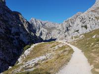 Wanderreise Nord-Spanien – Jakobsweg und Atlantik 9 Tage Wanderreise in Nordspanien mit San Sebastian – Picos de Europa – Jakobsweg – Santiago de Compostela – Port (601)