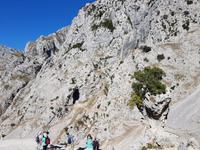 Wanderreise Nord-Spanien – Jakobsweg und Atlantik 9 Tage Wanderreise in Nordspanien mit San Sebastian – Picos de Europa – Jakobsweg – Santiago de Compostela – Port (612)