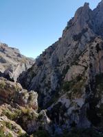 Wanderreise Nord-Spanien – Jakobsweg und Atlantik 9 Tage Wanderreise in Nordspanien mit San Sebastian – Picos de Europa – Jakobsweg – Santiago de Compostela – Port (682)