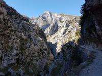 Wanderreise Nord-Spanien – Jakobsweg und Atlantik 9 Tage Wanderreise in Nordspanien mit San Sebastian – Picos de Europa – Jakobsweg – Santiago de Compostela – Port (683)