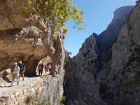 Wanderreise Nord-Spanien – Jakobsweg und Atlantik 9 Tage Wanderreise in Nordspanien mit San Sebastian – Picos de Europa – Jakobsweg – Santiago de Compostela – Port (688)