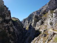 Wanderreise Nord-Spanien – Jakobsweg und Atlantik 9 Tage Wanderreise in Nordspanien mit San Sebastian – Picos de Europa – Jakobsweg – Santiago de Compostela – Port (695)