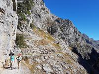 Wanderreise Nord-Spanien – Jakobsweg und Atlantik 9 Tage Wanderreise in Nordspanien mit San Sebastian – Picos de Europa – Jakobsweg – Santiago de Compostela – Port (697)