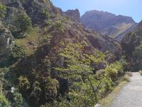 Wanderreise Nord-Spanien – Jakobsweg und Atlantik 9 Tage Wanderreise in Nordspanien mit San Sebastian – Picos de Europa – Jakobsweg – Santiago de Compostela – Port (760)