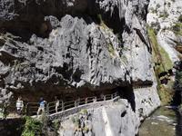 Wanderreise Nord-Spanien – Jakobsweg und Atlantik 9 Tage Wanderreise in Nordspanien mit San Sebastian – Picos de Europa – Jakobsweg – Santiago de Compostela – Port (798)