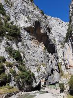 Wanderreise Nord-Spanien – Jakobsweg und Atlantik 9 Tage Wanderreise in Nordspanien mit San Sebastian – Picos de Europa – Jakobsweg – Santiago de Compostela – Port (828)