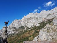 Wanderreise Nord-Spanien – Jakobsweg und Atlantik 9 Tage Wanderreise in Nordspanien mit San Sebastian – Picos de Europa – Jakobsweg – Santiago de Compostela – Port (884)