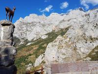 Wanderreise Nord-Spanien – Jakobsweg und Atlantik 9 Tage Wanderreise in Nordspanien mit San Sebastian – Picos de Europa – Jakobsweg – Santiago de Compostela – Port (911)