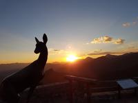 Wanderreise Nord-Spanien – Jakobsweg und Atlantik 9 Tage Wanderreise in Nordspanien mit San Sebastian – Picos de Europa – Jakobsweg – Santiago de Compostela – Port (1083)