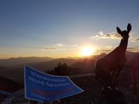 Wanderreise Nord-Spanien – Jakobsweg und Atlantik 9 Tage Wanderreise in Nordspanien mit San Sebastian – Picos de Europa – Jakobsweg – Santiago de Compostela – Port (1152)