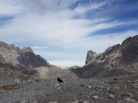 Wanderreise Nord-Spanien – Jakobsweg und Atlantik 9 Tage Wanderreise in Nordspanien mit San Sebastian – Picos de Europa – Jakobsweg – Santiago de Compostela – Port (1296)