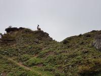 Wanderreise Nord-Spanien – Jakobsweg und Atlantik 9 Tage Wanderreise in Nordspanien mit San Sebastian – Picos de Europa – Jakobsweg – Santiago de Compostela – Port (1469)