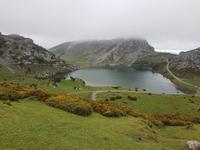 Wanderreise Nord-Spanien – Jakobsweg und Atlantik 9 Tage Wanderreise in Nordspanien mit San Sebastian – Picos de Europa – Jakobsweg – Santiago de Compostela – Port (1490)