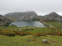 Wanderreise Nord-Spanien – Jakobsweg und Atlantik 9 Tage Wanderreise in Nordspanien mit San Sebastian – Picos de Europa – Jakobsweg – Santiago de Compostela – Port (1494)