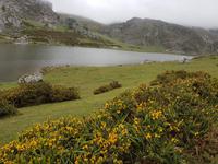 Wanderreise Nord-Spanien – Jakobsweg und Atlantik 9 Tage Wanderreise in Nordspanien mit San Sebastian – Picos de Europa – Jakobsweg – Santiago de Compostela – Port (1536)