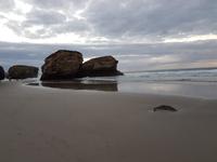 Wanderreise Nord-Spanien – Jakobsweg und Atlantik 9 Tage Wanderreise in Nordspanien mit San Sebastian – Picos de Europa – Jakobsweg – Santiago de Compostela – Port (1744)