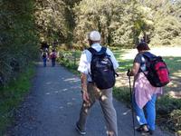 Wanderreise Nord-Spanien – Jakobsweg und Atlantik 9 Tage Wanderreise in Nordspanien mit San Sebastian – Picos de Europa – Jakobsweg – Santiago de Compostela – Port (1877)