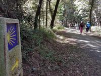 Wanderreise Nord-Spanien – Jakobsweg und Atlantik 9 Tage Wanderreise in Nordspanien mit San Sebastian – Picos de Europa – Jakobsweg – Santiago de Compostela – Port (1889)