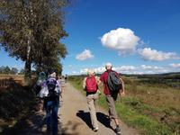 Wanderreise Nord-Spanien – Jakobsweg und Atlantik 9 Tage Wanderreise in Nordspanien mit San Sebastian – Picos de Europa – Jakobsweg – Santiago de Compostela – Port (1898)