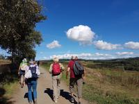 Wanderreise Nord-Spanien – Jakobsweg und Atlantik 9 Tage Wanderreise in Nordspanien mit San Sebastian – Picos de Europa – Jakobsweg – Santiago de Compostela – Port (1900)