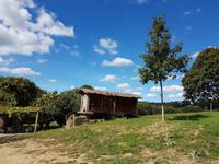 Wanderreise Nord-Spanien – Jakobsweg und Atlantik 9 Tage Wanderreise in Nordspanien mit San Sebastian – Picos de Europa – Jakobsweg – Santiago de Compostela – Port (1908)