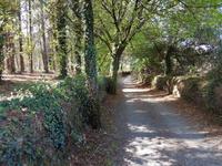 Wanderreise Nord-Spanien – Jakobsweg und Atlantik 9 Tage Wanderreise in Nordspanien mit San Sebastian – Picos de Europa – Jakobsweg – Santiago de Compostela – Port (1909)