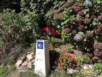 Wanderreise Nord-Spanien – Jakobsweg und Atlantik 9 Tage Wanderreise in Nordspanien mit San Sebastian – Picos de Europa – Jakobsweg – Santiago de Compostela – Port (1922)