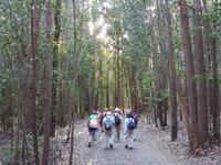 Wanderreise Nord-Spanien – Jakobsweg und Atlantik 9 Tage Wanderreise in Nordspanien mit San Sebastian – Picos de Europa – Jakobsweg – Santiago de Compostela – Port (1953)