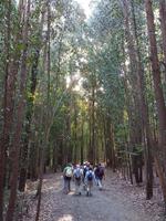 Wanderreise Nord-Spanien – Jakobsweg und Atlantik 9 Tage Wanderreise in Nordspanien mit San Sebastian – Picos de Europa – Jakobsweg – Santiago de Compostela – Port (1954)