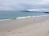 Wanderreise Nord-Spanien – Jakobsweg und Atlantik 9 Tage Wanderreise in Nordspanien mit San Sebastian – Picos de Europa – Jakobsweg – Santiago de Compostela – Port (2391)