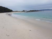 Wanderreise Nord-Spanien – Jakobsweg und Atlantik 9 Tage Wanderreise in Nordspanien mit San Sebastian – Picos de Europa – Jakobsweg – Santiago de Compostela – Port (2403)