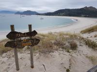 Wanderreise Nord-Spanien – Jakobsweg und Atlantik 9 Tage Wanderreise in Nordspanien mit San Sebastian – Picos de Europa – Jakobsweg – Santiago de Compostela – Port (2412)