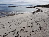 Wanderreise Nord-Spanien – Jakobsweg und Atlantik 9 Tage Wanderreise in Nordspanien mit San Sebastian – Picos de Europa – Jakobsweg – Santiago de Compostela – Port (2484)