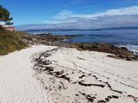 Wanderreise Nord-Spanien – Jakobsweg und Atlantik 9 Tage Wanderreise in Nordspanien mit San Sebastian – Picos de Europa – Jakobsweg – Santiago de Compostela – Port (2487)