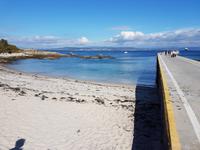 Wanderreise Nord-Spanien – Jakobsweg und Atlantik 9 Tage Wanderreise in Nordspanien mit San Sebastian – Picos de Europa – Jakobsweg – Santiago de Compostela – Port (2499)