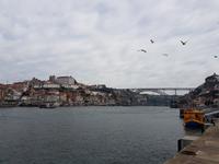 Wanderreise Nord-Spanien – Jakobsweg und Atlantik 9 Tage Wanderreise in Nordspanien mit San Sebastian – Picos de Europa – Jakobsweg – Santiago de Compostela – Port (2600)