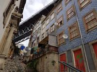 Wanderreise Nord-Spanien – Jakobsweg und Atlantik 9 Tage Wanderreise in Nordspanien mit San Sebastian – Picos de Europa – Jakobsweg – Santiago de Compostela – Port (2640)