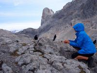 Wanderreise Nord-Spanien – Jakobsweg und Atlantik 9 Tage Wanderreise in Nordspanien mit San Sebastian – Picos de Europa – Jakobsweg – Santiago de Compostela – Port (2887)