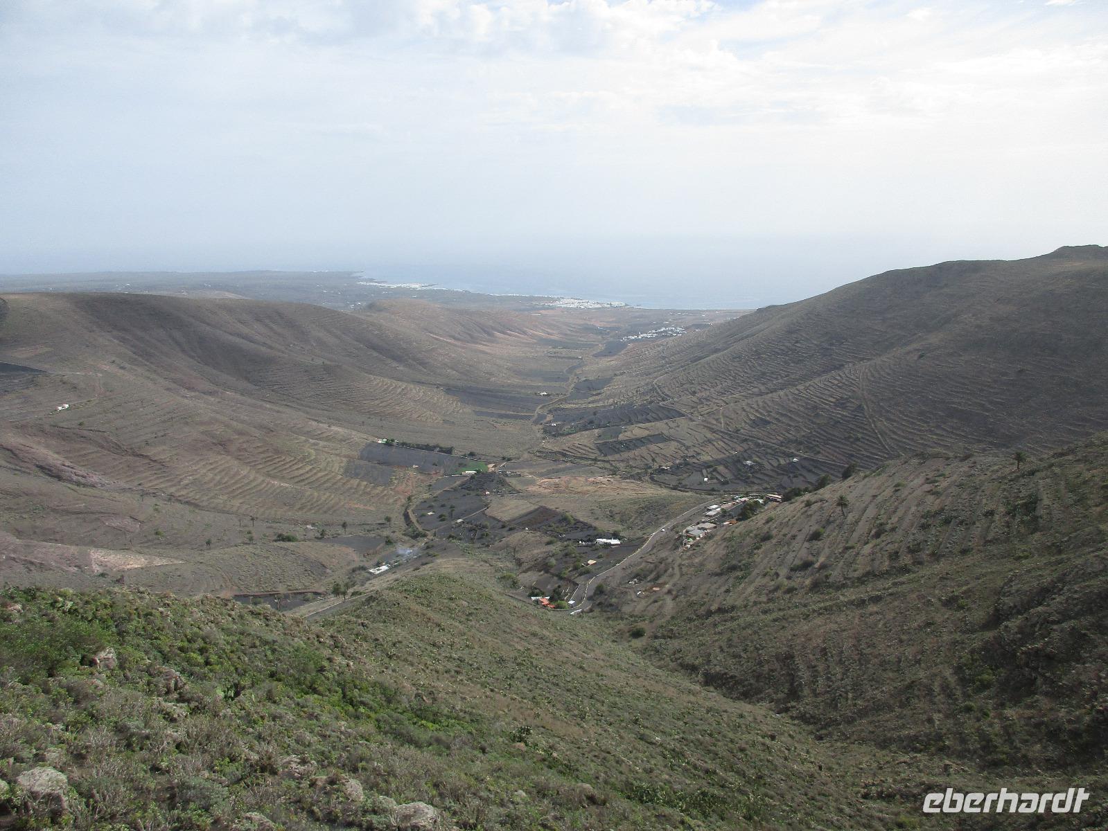 Blick in das Tal der 1000 Palmen