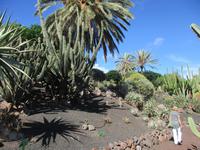 der Botanische Garten im Oasis- Park