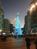 Weihnachtsbaum bei Nacht in Madrid