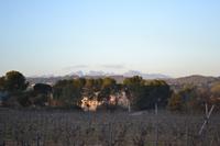 Blick von der Sektkellerei Codorníu auf die Berge von Montserrat