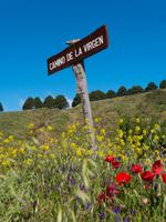 Prozessionsweg Camino de la Virgen