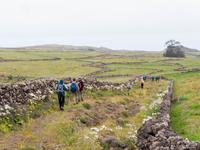 Wanderung auf den Hochweiden von El Hierro