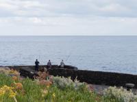 Fischer bei Pozo de la Salud