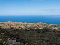 schiefe Wacholderbäume Sabina de El Hierro