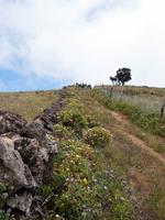 Wanderweg nach Sabinosa