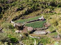 fruchtbares Afur-Tal