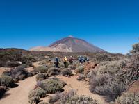 Wanderung im Teide Nationalpark
